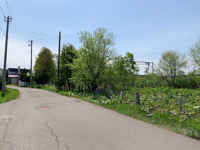 100坪以上【美唄市東1条南】