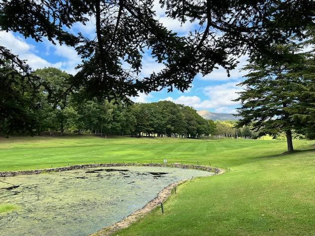 赤井川売土地 2筆 土地(登記):498㎡+499㎡