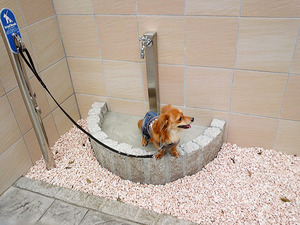 ペット足洗い場.jpg